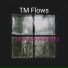TM Flows