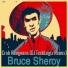 Bruce Sheroy