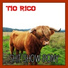 Tío Rico