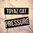 Toyaz Cat