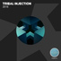 Public Invasion Project feat. Luca Signorini