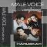 Male Voice