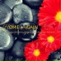 Spa Music Relaxation Meditation