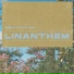 Linanthem, two sleepy