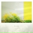 sima kim & american green