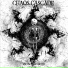 Chaos Cascade