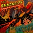 The Ammonoids