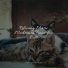 Music for Cats Project, Music For Cats, RelaxMyCat