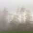 Lluvia PQ, Naturaleza Sonidos, Relajante Musica