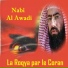 Nabi Al Awadi