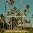 Tropical Christmas Project
