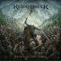 Reinforcer