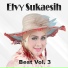 Elvy Sukaesih