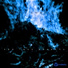 Alice Complex Kollective