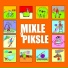 Mixle V Piksle