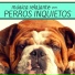 Relax para Perros Maestro