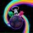 Pnau & Budjerah