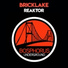 Bricklake