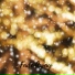 CreativeWaves