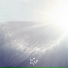 Amount