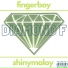 Fingerboy
