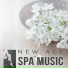 Spa Music Paradise, Meditation Spa
