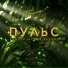 Телепорт