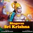 Ananthkumar