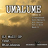 Dj MuZI.GP feat. Mr Ntatshana
