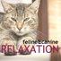 Music for Dogs Collective