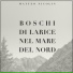 Matteo Nicolin