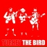 Turkey The Bird