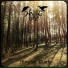 Howling North
