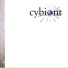 Cybiont