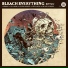 Bleach Everything