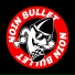 Noin Bullet feat. P. Frozen