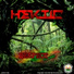 Hektic
