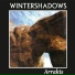Wintershadows