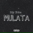 Edy Shine