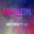 Kamaleon feat. Lyana