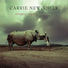 Carrie Newcomer