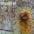 Mongrel