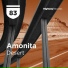 Amonita