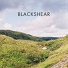Blackshear