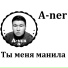 Aner