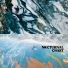 Nocturnal Coast