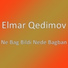 Elmar Qedimov