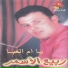 Rabie Al Asmar
