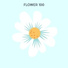 Flower 100