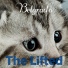 The Lifted